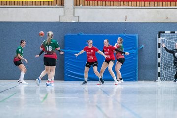 Bild 154 - F HSG Kremperheide/Muensterdorf - TSV SR Schuelp : Ergebnis: 19:14